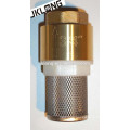 J5001 Brass Spring Check Valve With filter Net